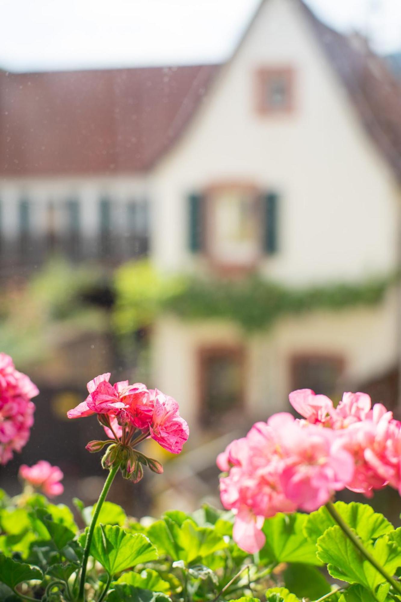 Weinstrasse No 8 "Einfach-Gut-Uebernachten" แลนสไวเลอร์ ภายนอก รูปภาพ